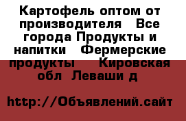 Картофель оптом от производителя - Все города Продукты и напитки » Фермерские продукты   . Кировская обл.,Леваши д.